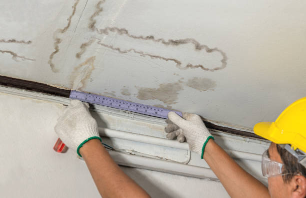 Reliable Water Damage contractor in Fairgrove, MI by Water Damage Irwin